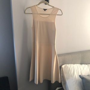 AnnTaylor skater dress with mesh details